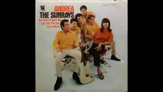 The Sunrays: Andrea