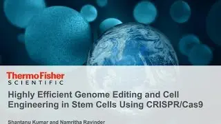 Highly efficient genome editing and cell engineering in stem cells using CRISPR/Cas9