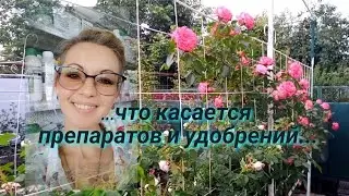 Vlog-187 Я ЗНАЮ СЕКРЕТ! Как я стала спецом по обработкам роз! Рекомендую!