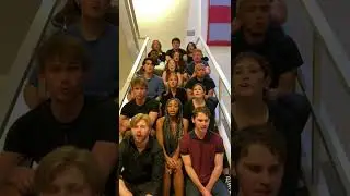 Halo (Beyoncé) | Notetorious A cappella cover