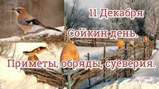 11 декабря Сойкин день/#православие #приметы Что можно и нельзя делать #сойка