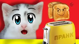 ПРАНКИ НА 1 АПРЕЛЯ! НОВЫЕ ПРИКОЛЫ с КОТАМИ от А ну-ка Давай-ка