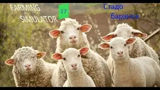 Большое стадо баранов. ч10. farming simulator 2017