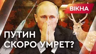 Чем болен Путин? ВСЯ ПРАВДА О СМЕРТЕЛЬНОЙ болезни ПУТИНА и кровавых ваннах с оленями | Вікна-новини