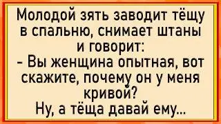 Как тёща зятю помогла! Сборник свежих анекдотов! Юмор!