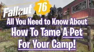 Fallout 76 Tame a Pet For Your C.A.M.P! All You Need to Know -Improved Editon!