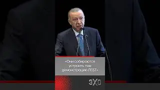 Эрдоган отказал Макрону посетить открытие Олимпиады из-за внучки