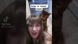 КОГДА НЕ КУПИЛА КОРМА ))) ☀ Лучшие приколы Tik-Tok ☀ 