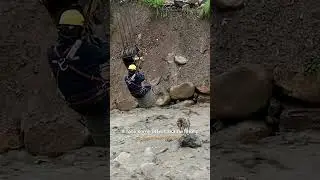 🌊Dog Rescued From Raging River🐕 | Hero of the Week