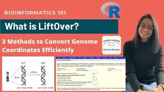 What is LiftOver? |3 Methods to Convert Genome Coordinates Efficiently