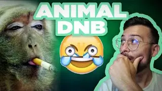 Making a BANGER using funny animal noises