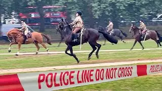 HEART-STOPPING: HORSE STAMPEDE ERUPTS ACROSS HYDE PARK