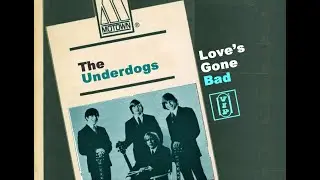 Motown Blue Eyed Soul  Dave Whitehouse - The Underdogs  Loves Gone Bad  Detroit Rock Bands