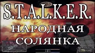 S.T.A.L.K.E.R. Народная солянка + ООП - Тайники Коллекционера на Янтаре