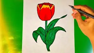 Как легко и красиво нарисовать тюльпан? how to draw a Tulip