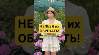 Вы обрезаете НЕПРАВИЛЬНО!