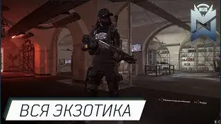 The Division 2 / Где взять всю экзотику?