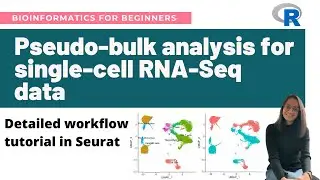 Pseudo-bulk analysis for single-cell RNA-Seq data | Detailed workflow tutorial