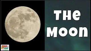 The Moon for Kids