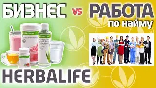 Работа по найму или сетевой бизнес? Преимущества бизнеса Herbalife и работы на себя