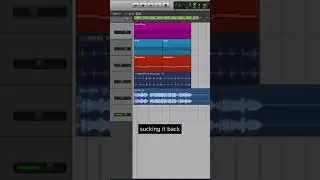 A Key to Punchy Mixes? #reverb #mixingtutorial #musicproductiontutorial