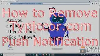 How to Remove Typiccor.com pop-up Notifications