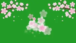 green screen flower effects video