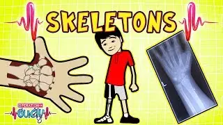 Science for kids | Body Parts - SKELETONS | Operation Ouch | Experiments for kids