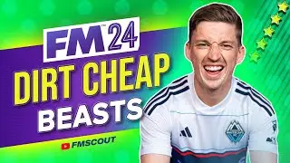 Sign These Cheap BEASTS ASAP In FM24 | Football Manager 2024 Best Players