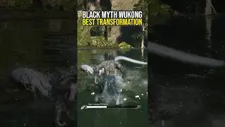 This Is The Best Transformation In Black Myth Wukong...