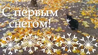 С первым снегом! Музыкальная открытка в стихах.