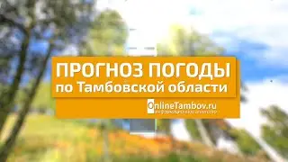 Прогноз погоды в Тамбове и Тамбовской области на 14 июня 2023 года