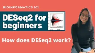 DESeq2 Basics Explained | Differential Gene Expression Analysis | Bioinformatics 101