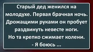 Старый Дед Женился на Молодухе! Сборник Изумрудных Анекдотов №20