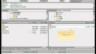 Managing files and directories via FileZilla FTP
