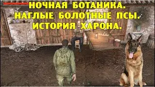 SO.  Ночная ботаника.  Наглые болотные псы.  История Харона.