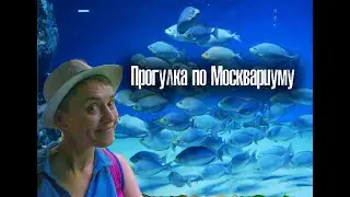 Прогулка по Москвариуму