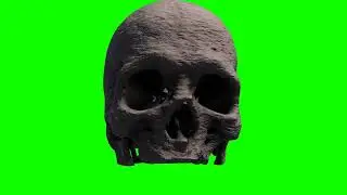 FREE HD Green Screen - CREEPY 3D SKULL ANIMATION