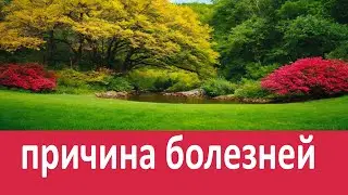 О причинах болезней духовных и телесных