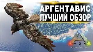 Аргентавис (Argentavis) в АРК. Лучший обзор: приручение, разведение и способности в ark