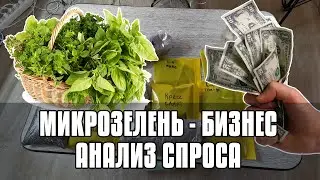 МИКРОЗЕЛЕНЬ - АНАЛИЗ СПРОСА - БИЗНЕС НА МИКРОЗЕЛЕНИ - КОМУ И КАК ПРОДАВАТЬ - БИЗНЕС 2022