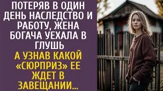 Потеряв в один день наследство и работу, жена богача уехала в глушь… А узнав какой сюрприз ее ждет