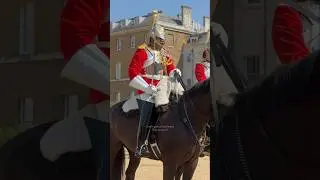 THE MOST POWERFUL HORSE GUARD 🤯