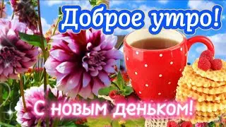 🌺 Доброе Утро! 🤗 Пусть Мечты воплотятся в реальность! 🍒 🌸 Красивые пожелания Хорошего Дня 👌