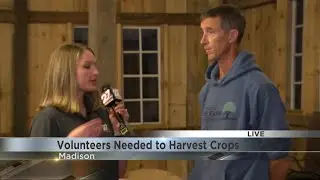 Volunteers needed to help harvest produce