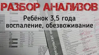 АНАЛИЗЫ РЕБЁНКА. ДЕВОЧКА 3,5 ГОДА. ОБЕЗВОЖИВАНИЕ, ВОСПАЛЕНИЕ. Нутрициолог Ольга Кустова