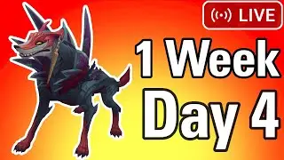 1 Week of Naafiri (Day 4)