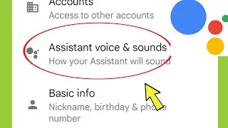 Google Assistant Voice & Sound Settings