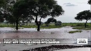 Sudan : first WFP trucks cross into Darfur • FRANCE 24 English