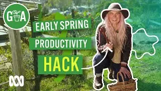 Grafting for A Productive Garden | Gardening Hacks | Gardening Australia